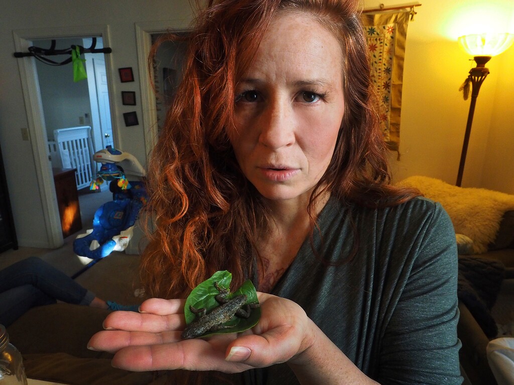 (Rich Beauchesne | Portsmouth Herald | The Associated Press) This photo taken Monday, Feb. 5, 2018, shows Michelle Carr, a nurse and new mother living in Kittery, Maine, displaying a dead lizard that she found while eating a fresh salad recently. Carr said she bought a bag of store-brand romaine lettuce at a supermarket in Portsmouth, N.H., on Jan. 26. The lettuce was distributed by a California company. A supermarket spokeswoman said it notified the supplier. (Rich Beauchesne/Portsmouth Herald via AP)