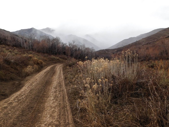 (Erin Alberty | The Salt Lake Tribune)  Porphyry Hill offers sweeping views of Ophir Canyon and the Tooele Valley. Photo taken Nov. 27, 2017.