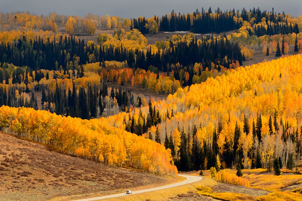 Trent Nelson | The Salt Lake Tribune
The Manti-La Sal National Forest east of Fairview, Thursday, Sept. 29, 2016. Utah's national forests are beginning to develop new management plans, which is stirring up controversy as some think the plans are fronts for expanding wilderness or restricting grazing.