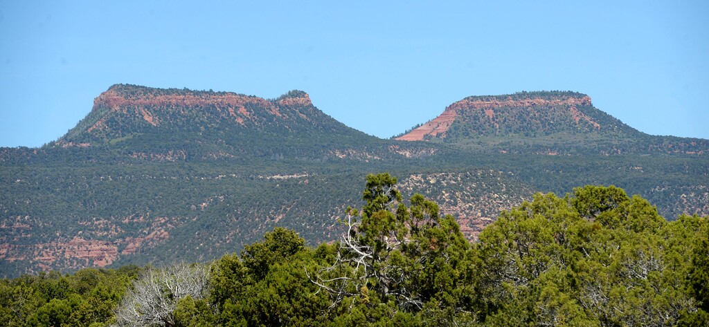 Al Hartmann  |  The Salt Lake TribuneBears Ears buttes sit high over the surrounding canyon country in San Juan County.  The formations are at the heart of the proposed Bears Ears National Monument. 