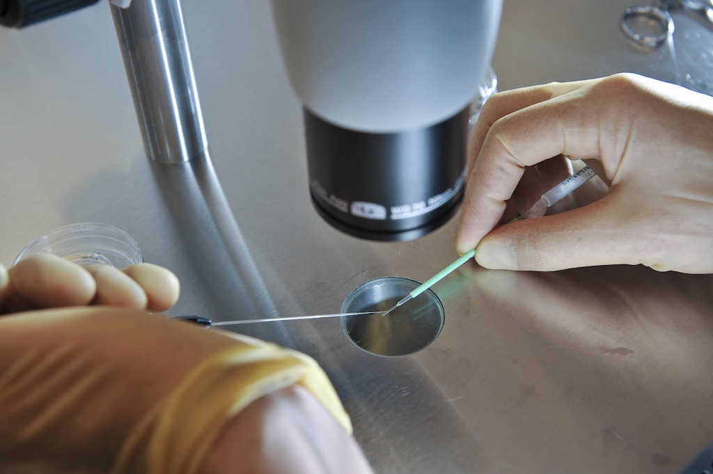 (Ben Birchall | The Associated Press) In this Aug. 11, 2008 photo, a scientist works during an IVF process.
