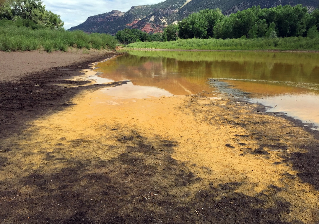 As the Animas River begins to recede it reveals a sludge left behind just north of Durango Colo., on Friday, Aug. 7, 2015, from the Gold King Mine spillage that happened on Wednesday north of Silverton Colo. Federal environmental officials say it's too early to know whether heavy metals that spilled into a river from a Colorado mine pose a health risk.  (Jerry McBride(/The Durango Herald via AP)