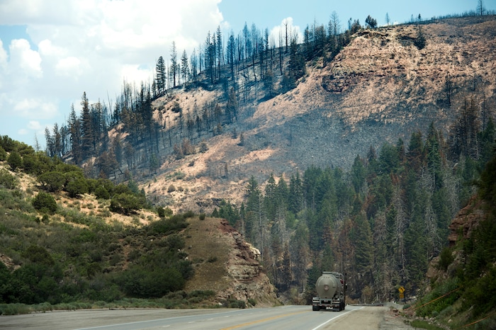 (Rick Egan  |  The Salt Lake Tribune)        Burned trees show the devastation of the Dollar Ridge Fire along Highway 40, Tuesday, July 10, 2018.



