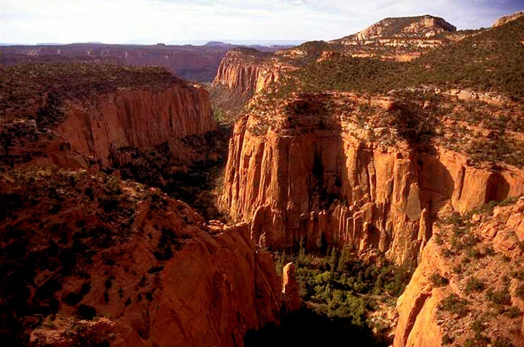 FILE - In this undated file photo, the Upper Gulch section of the Escalante Canyons within Utah's Grand Staircase-Escalante National Monument features sheer sandstone walls, broken occasionally by tributary canyons. Environmental groups gathered Tuesday, Dec. 12, 2017, to speak out against Republican Rep. Chris Stewart's legislative proposal that would create a modest national park at the recently downsized Grand Staircase-Escalante National Monument, while allowing coal mining and grazing within other areas. (AP Photo/Douglas C. Pizac, File)