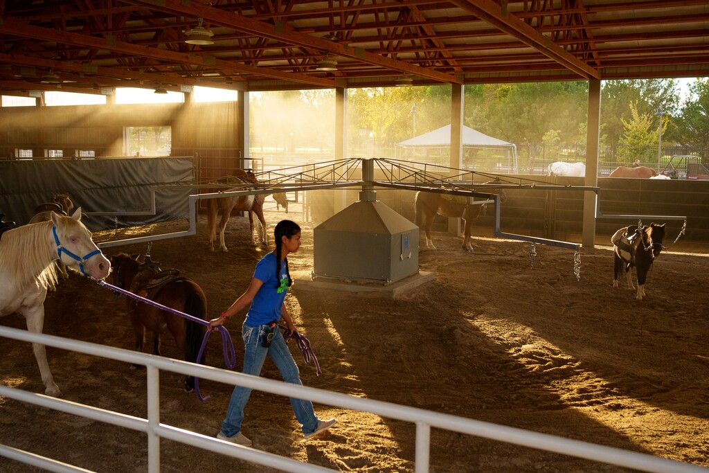 (Trent Nelson | The Salt Lake Tribune) Saddle-Up Stables at Thanksgiving Point's Curiosity Farms on Thursday, Sept. 26, 2024.