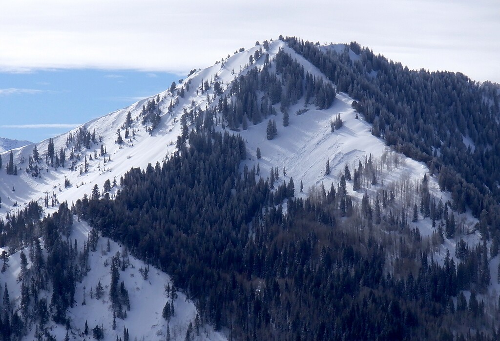 (Photo courtesy John Diener) This is the site near Wilson Peak above Mill Creek Canyon of an avalanche that killed four skiers on Saturday, Feb. 6, 2021.