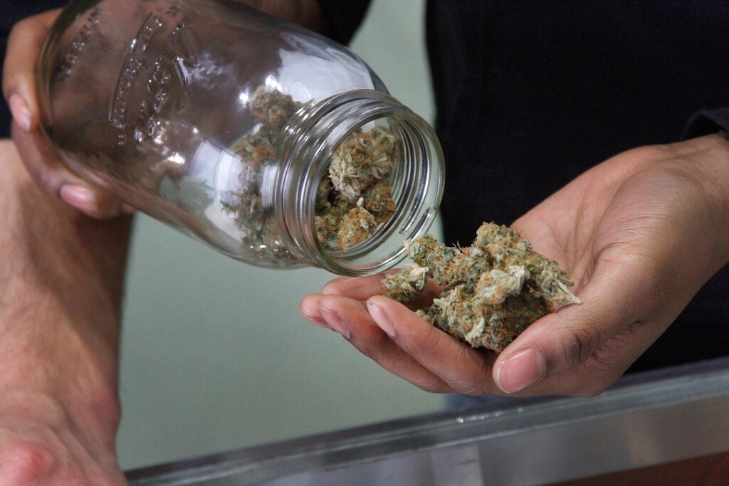 FILE - In this Feb. 20, 2015, file photo, Alaska Cannabis Club CEO Charlo Greene prepares to roll a joint at the medical marijuana dispensary in Anchorage, Alaska. In their zeal to get voters to support legalizing adult use of marijuana in 2014, proponents suggested a tax on the plant equivalent to $800 a pound that would be paid by growers. One of the concerns in Alaska is that the tax is squeezing growers' profit margins. Some have voiced concern that the tax keeps prices artificially high. (AP Photo/Mark Thiessen, File)