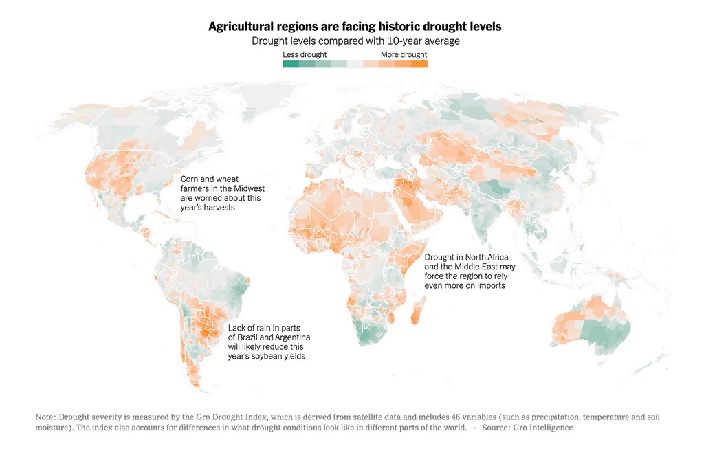 (Sara Chodosh | The New York Times)
Drought severity is measured by the Gro Drought Index, which is derived from satellite data and includes 46 variables (such as precipitation, temperature and soil moisture). The index also accounts for differences in what drought conditions look like in different parts of the world. Source: Gro Intelligence