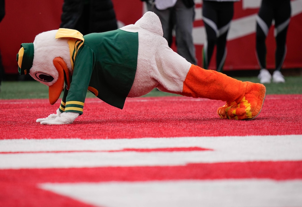 (Francisco Kjolseth | The Salt Lake Tribune) The Oregon mascot puts in a lot of push ups for every touchdown after defeating the Utes 35-6 , NCAA football in Salt Lake City on Saturday, Oct. 28, 2023.