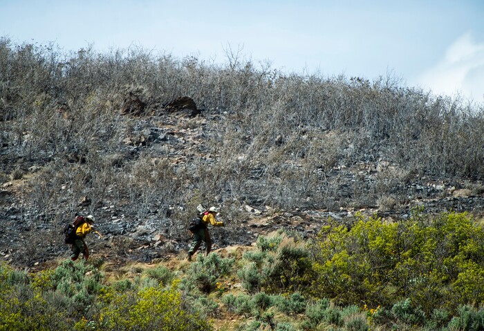 (Rick Egan  |  The Salt Lake Tribune)   Firefighters hike up the hill to fight the fire near the Dutch Canyon Road in Midway, Tuesday May 12, 2020