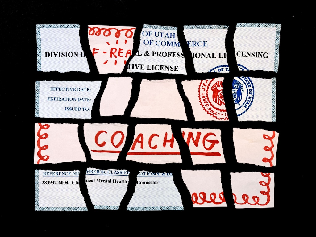 (Illustration by Lisa Larson-Walker | ProPublica)