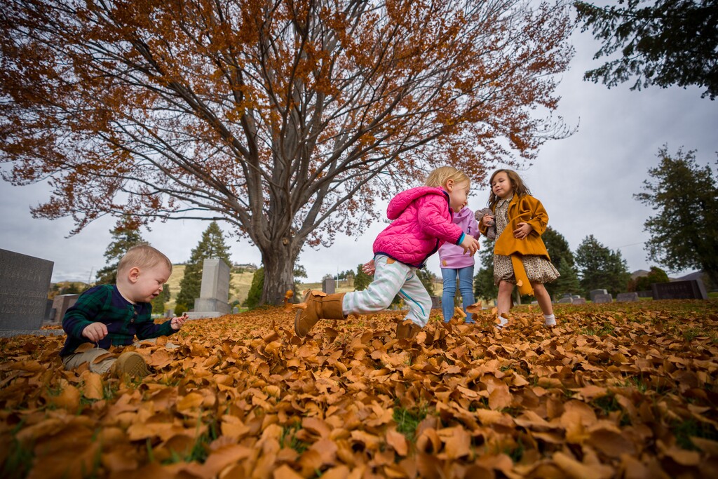 (Trent Nelson | The Salt Lake Tribune) Children play in the leaves under a European Beech as Salt Lake City announces the newly accredited Mark Smith Memorial Arboretum at Salt Lake City Cemetery on Saturday, Nov. 6, 2021. From left, Henley DeHart, Nora Davis, Mazie Davis, and Emma Carbine.