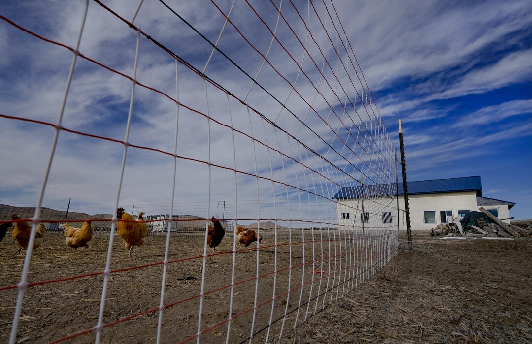 (Francisco Kjolseth  |  The Salt Lake Tribune) A home is built with insulated concrete forms at Riverbed Ranch, a remote self reliant community two hours outside of Salt Lake City on Saturday, February. 17, 2024.
