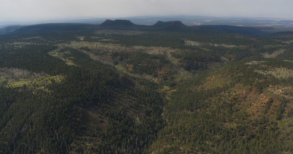 Francisco Kjolseth | The Salt Lake Tribune
The two buttes that make up the namesake for the Bears Ears National Monument reveal the vast landscape surrounding them as part of the 1.35 million acres in southeastern Utah protected by President Barack Obama on Dec. 28, 2016.
