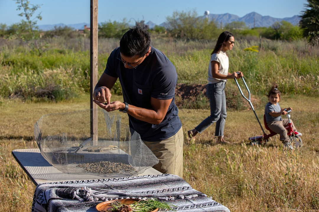 Thosh Collins removes thorns from buckthorn cactus buds while his wife, Chelsey Luger, plays with their daughter Alo, 2, on the Salt River Pima-Maricopa Indian Community, a few miles from their home outside Scottsdale, Ariz., on April 5, 2020. Collins and Luger founded an Indigenous wellness program called Well for Culture. (Caitlin O'Hara/The New York Times)