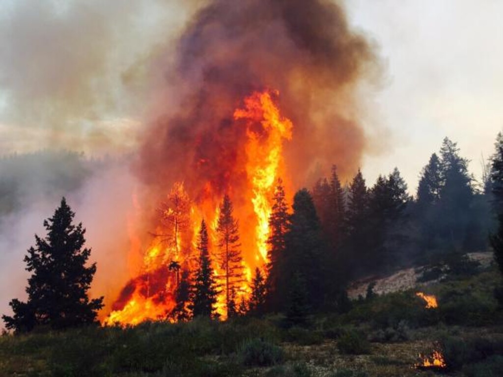 The Tank Hollow Fire in Spanish Fork Canyon was 40 percent contained as of Friday. (Photo courtesy Interagency Fire Center)