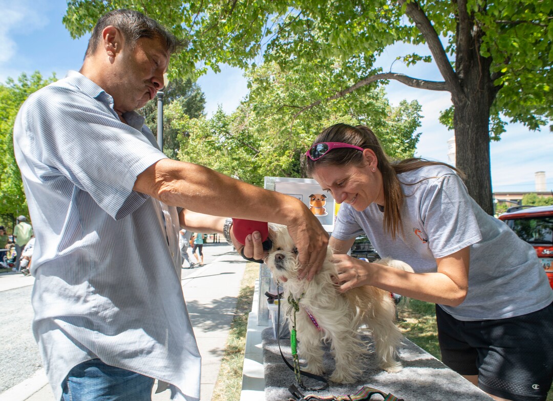 (Rick Egan  |  The Salt Lake Tribune)  Abraham Tapia holds his dog Barbie, as Lisa Volungif a volunteer with the Street Dawg Crew puts on a new harness. The Street Dawg Crew is a group that gives out food, treats, leashes and things fort pets of homeless people. Sunday, July 7, 2019.