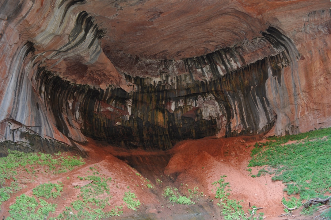 Erin Alberty|The Salt Lake Tribune The hike along the Middle Fork of Taylor Creek leads to an alcove in the quiet Kolob Canyons section of Zion National Park in Utah.
