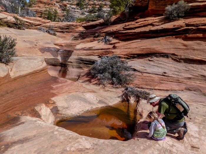 Erin Alberty|The Salt Lake Tribune
Many Pools is a beautiful, family-friendly hike with little traffic and great educational value in Zion National Park. Photo taken March 10, 2017.