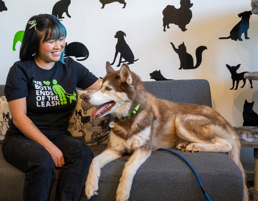 (Rick Egan | The Salt Lake Tribune)  Beth Henry, foster coordinatorAt Ruff Haven Crisis Center, with a dog named Ranger, on Tuesday, May 24, 2022.