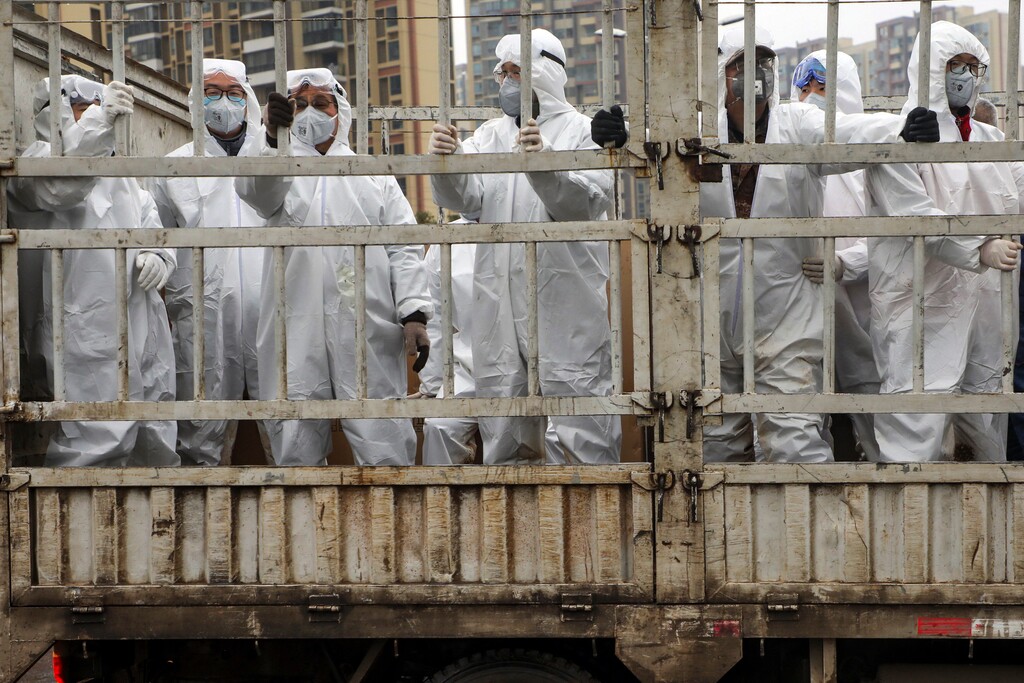 (Chinatopix via AP) In this Thursday, Feb. 6, 2020, photo, workers in protective suits ride on a truck carrying medical supplies into Huoshenshan temporary hospital built for patients who diagnosed with 2019-nCoV in Wuhan in central China's Hubei province. The number of confirmed cases of the new virus has risen again in China on Saturday as the ruling Communist Party faced anger and recriminations from the public over the death of a doctor who was threatened by police after trying to sound the alarm about the disease over a month ago.