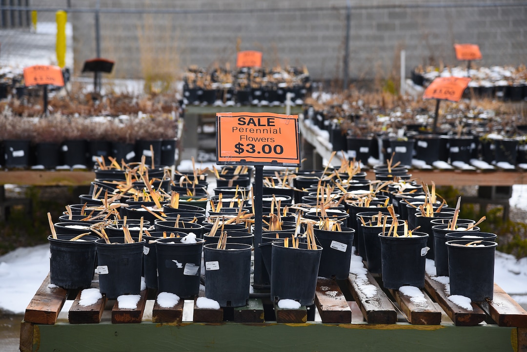 (Francisco Kjolseth  |  The Salt Lake Tribune)  Wednesday marks the official last day of business for Wasatch Shadows garden and landscape center in Sandy. After 42 years, owners, Loren and Debbie Nielsen, are retiring. They have sold the 10 acre plot, just west of the Real Soccer Stadium, to Sandy City for future development.