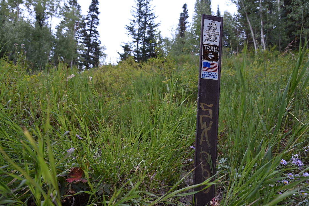 (Francisco Kjolseth  |  The Salt Lake Tribune)  Graffiti  is apparent on most signs along the popular Donut Falls trail on Friday, Aug. 31, 2018, in Big Cottonwood Canyon which draws regular crowds.