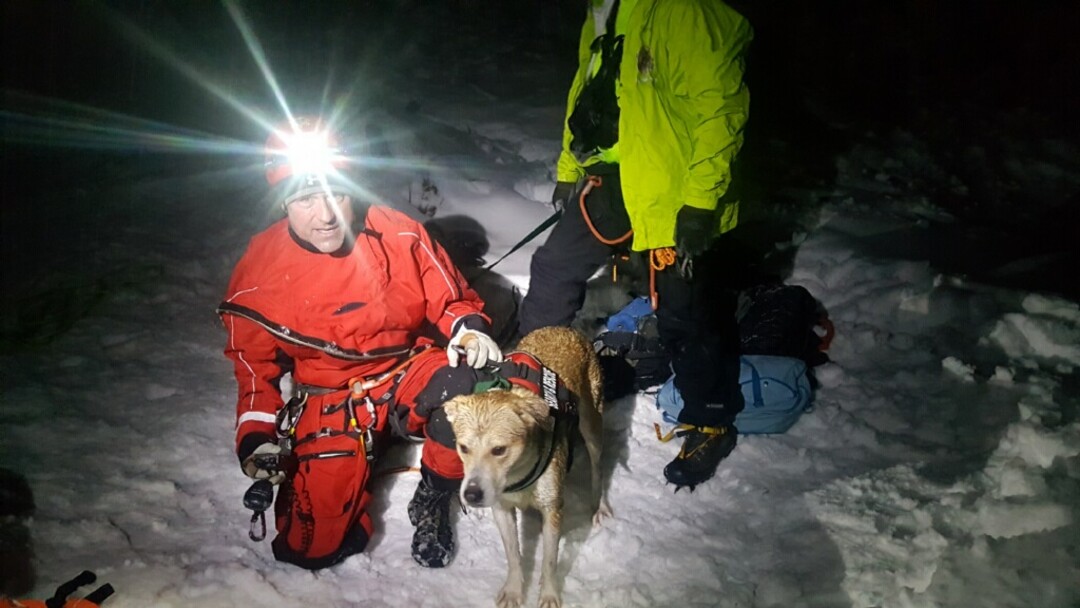 (Photo courtesy of the Utah County Sheriff's Office) Rescuers help a dog that  fell into a 40-foot snow cavern at Stewart Falls near Sundance Ski Resort. The dog, Beeroo, fell through a hole in the ceiling on Saturday, Feb. 2.