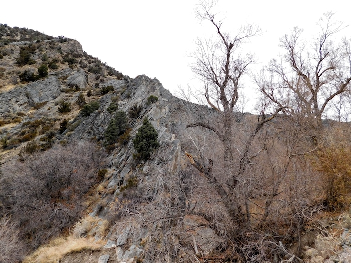 (Erin Alberty | The Salt Lake Tribune) Rocky cliffs slope up Ophir Canyon in Tooele County. Photo taken Nov. 20, 2017.
