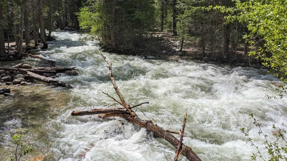 Search and rescue effort underway for lightning strike victim near Little ...