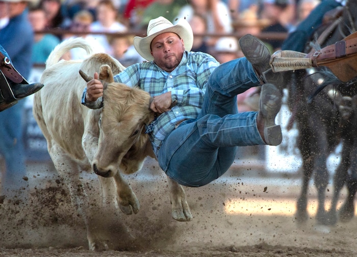(Rick Egan  |  The Salt Lake Tribune)     Blake Brown from Spanish Fork competes in the Steer Wrestling Competition, at the West Jordan Western Stampede Rodeo, Saturday, July 6, 2019.