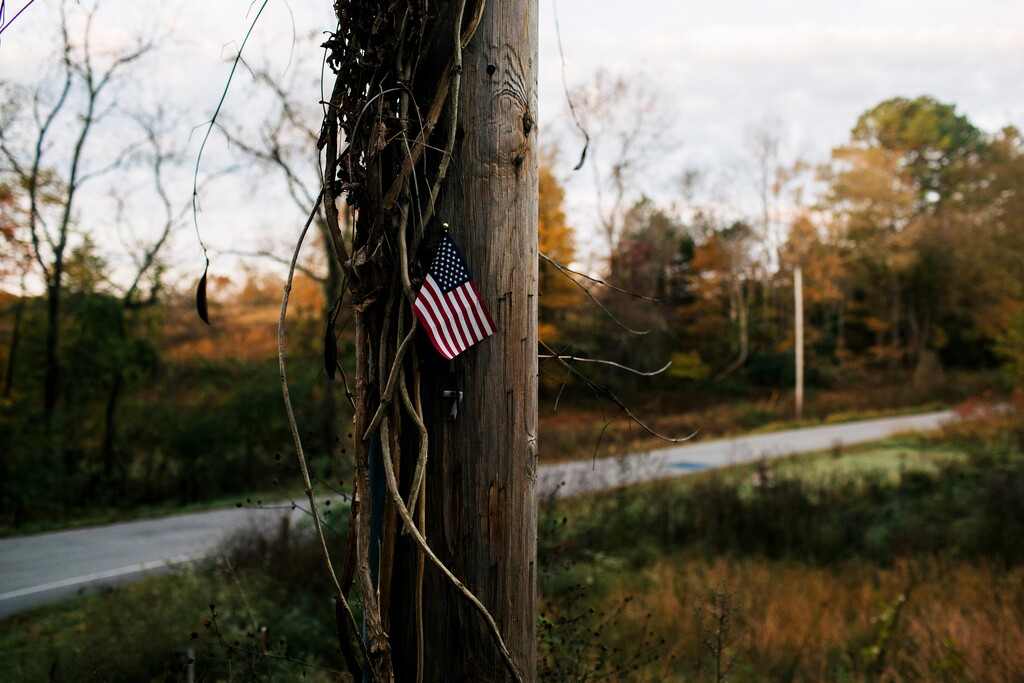 (Alyssa Schukar | The New York Times)
A small American flag hangs near the intersection where Sgt. Daniel Baker, an officer with the Dickson County Sheriff's Office, was murdered on May 30, 2018, in Tenn., on Oct. 30, 2018. “Rural resentment has become a central fact of American politics — in particular, a pillar of support for the rise of right-wing extremism,” writes New York Times columnist Paul Krugman.