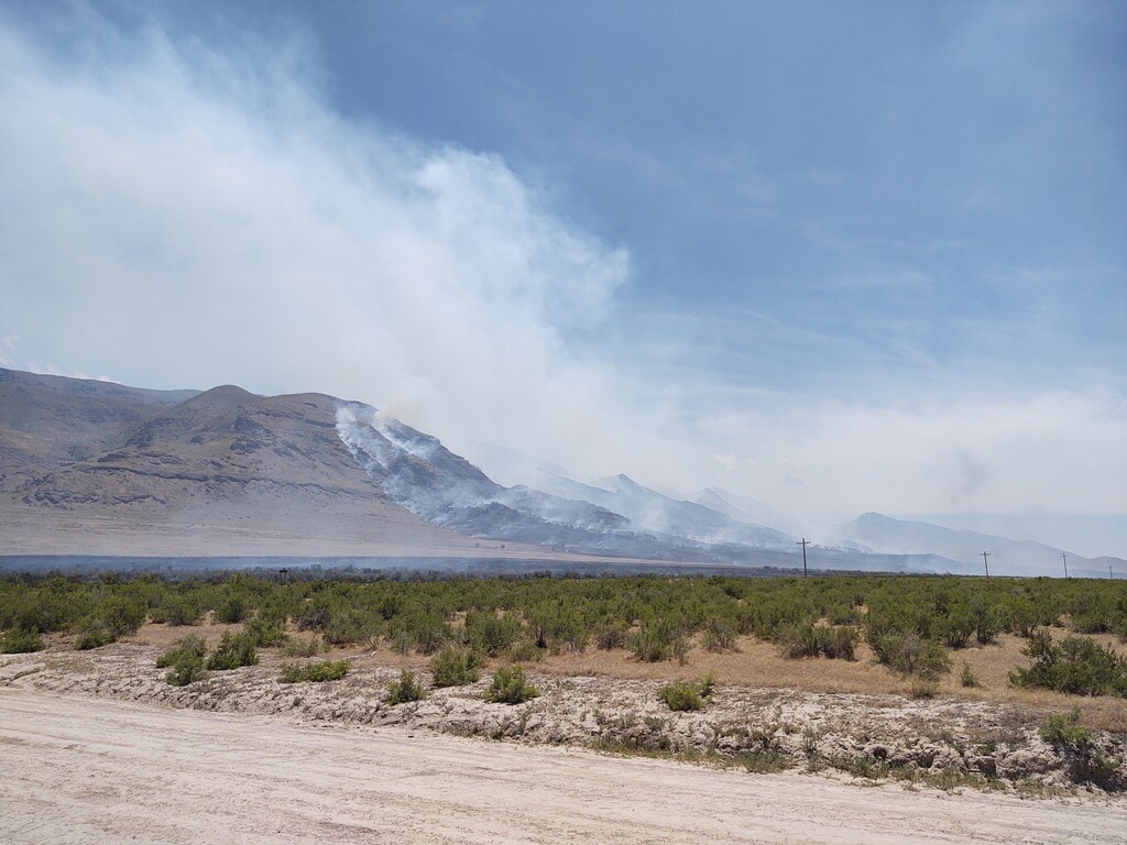 (Photo courtesy of Utah Wildfire Info) Smoke rises from the Big Springs Fire, south of Interstate 80 along State Road 196 in Tooele County on June 14, 2020.