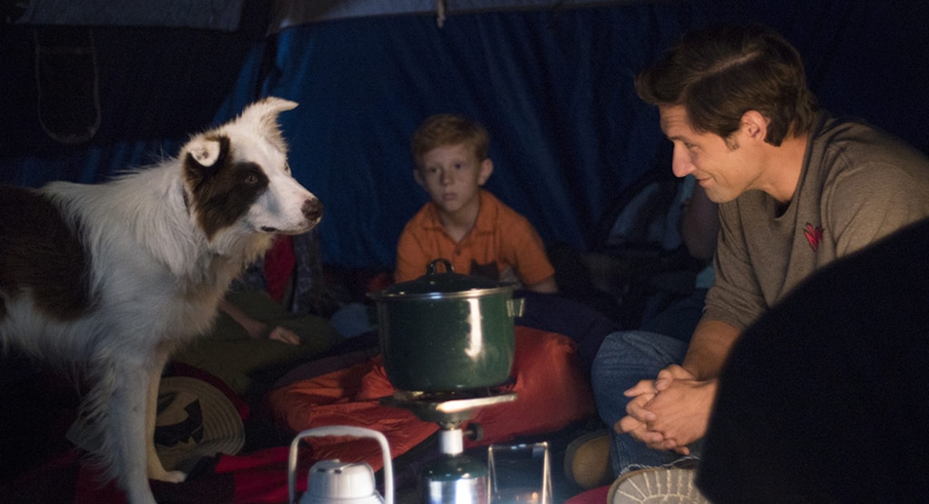 (Courtesy photo) Mitch (Michael Cassidy, right), on a camping trip with his family and his son's friends, including Smitty (Brennan Williams, center) are aided by Pluto, in the fact-based drama "The Stray."