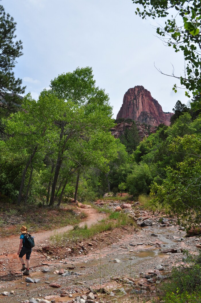 Craig Buschmann | Courtesy
Reporter Erin Alberty crosses the Middle Fork of Taylor Creek in Zion National Park.