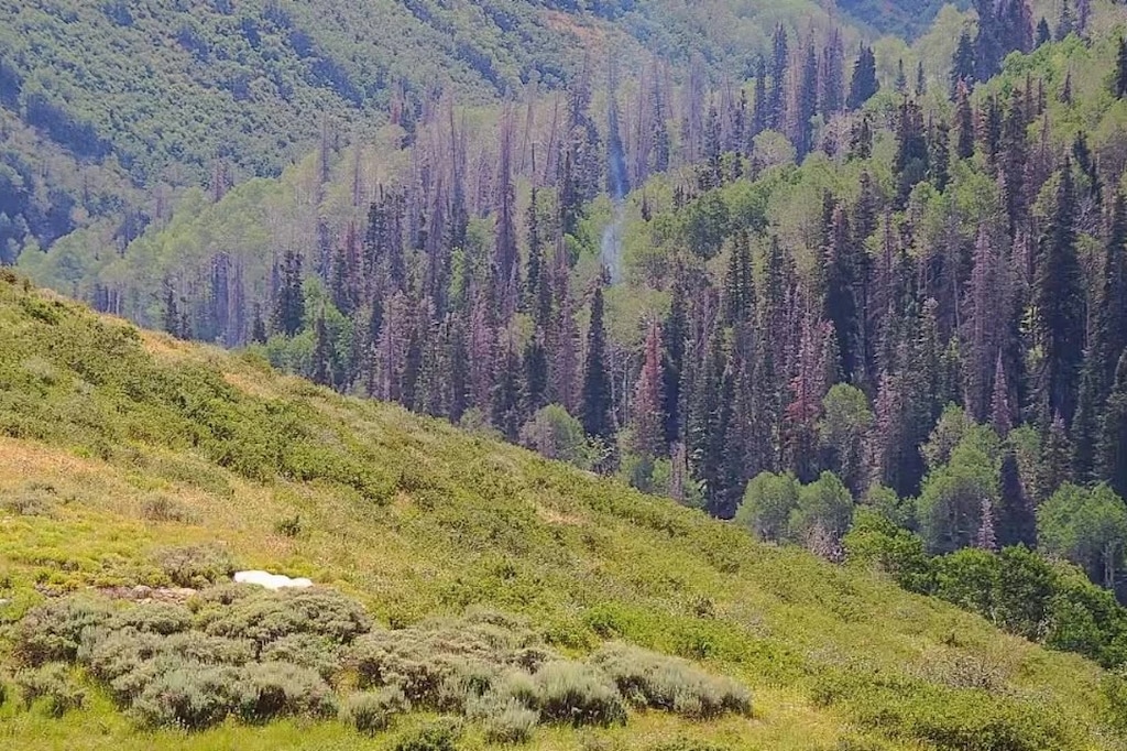 (North Summit Fire District) A Pano AI camera system caught this smoldering fire near Lewis Peak July 17, 2026, and North Summit firefighters subsequently extinguished it.