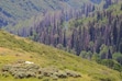 (North Summit Fire District) A Pano AI camera system caught this smoldering fire near Lewis Peak July 17, 2026, and North Summit firefighters subsequently extinguished it.