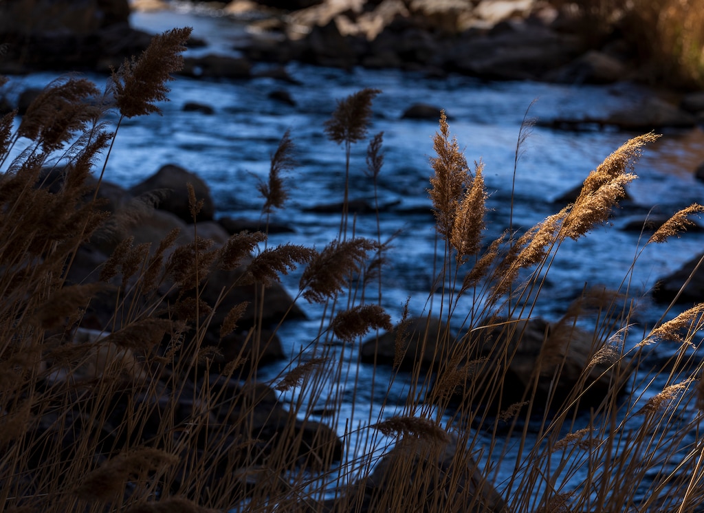 (Leah Hogsten | The Salt Lake Tribune) The Ogden River, April 7, 2022.  Runoff may be a bit higher this spring and summer but reservoirs are still expected to be low.