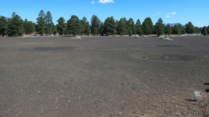 (Felicia Fonseca | AP) This June 28, 2019 photo shows a fenced-off field of craters in a volcanic cinder field east of Flagstaff, Ariz., that was used as a training site for astronauts who landed on the moon.