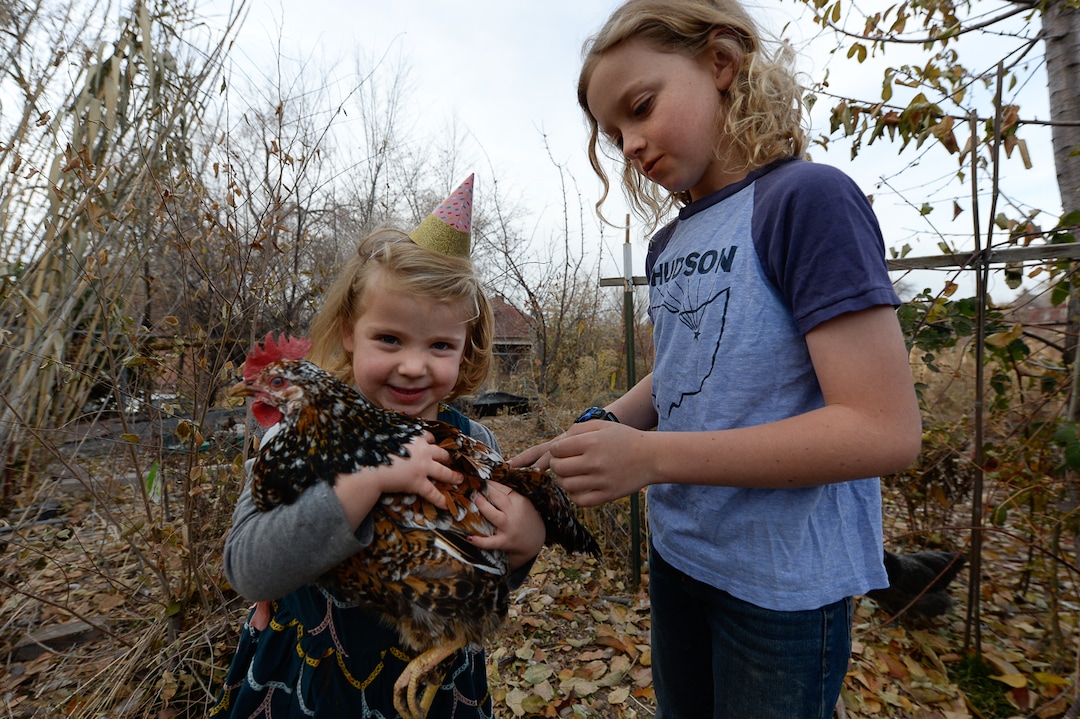 (Francisco Kjolseth  |  The Salt Lake Tribune)  Oona Barrett celebrates her 4th birthday, as she visits the community garden with chickens at the end of Elizabeth Street in Salt Lake City alongside Quinn Porucznik, 10.