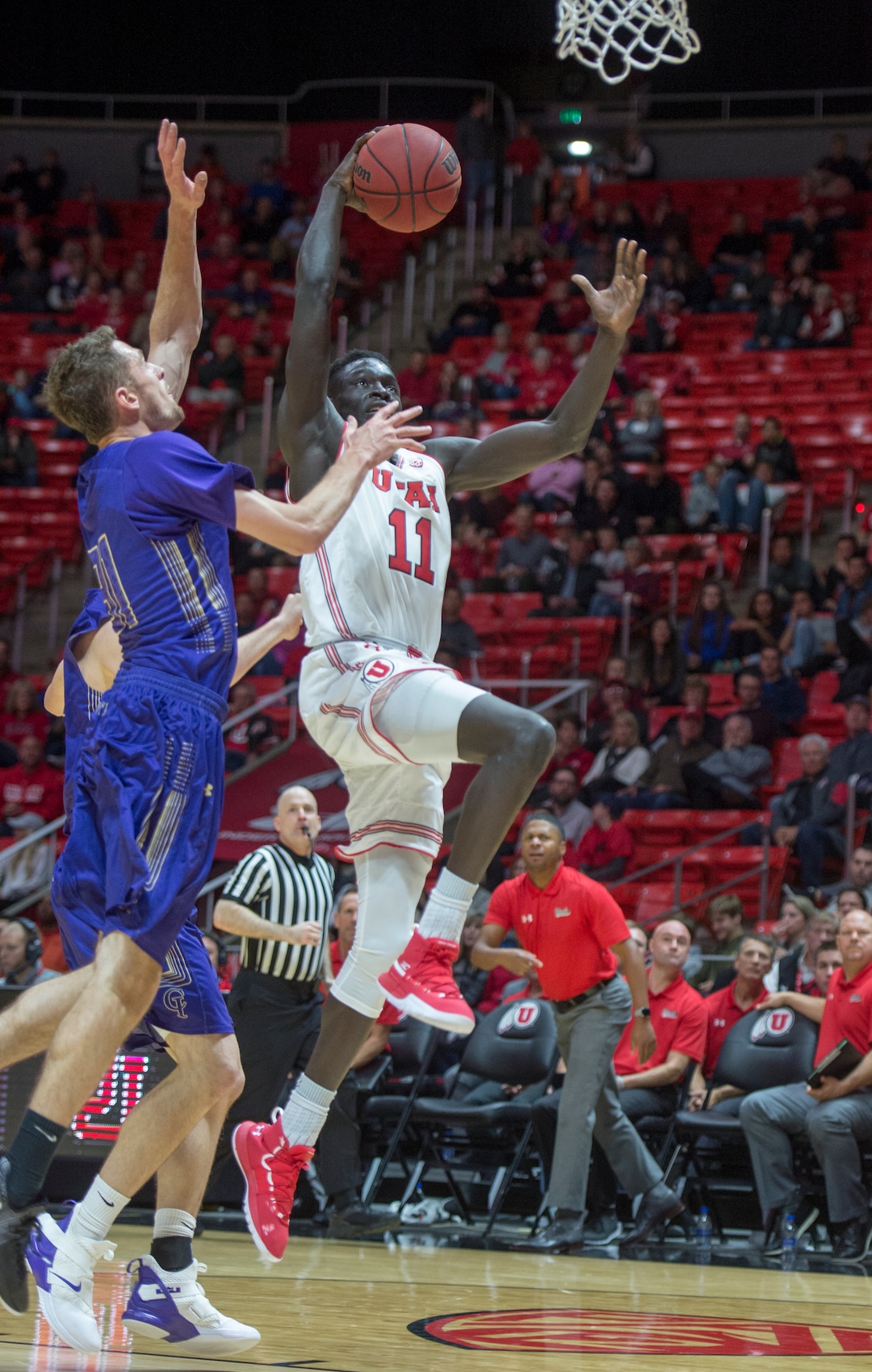 (Rick Egan  |  The Salt Lake Tribune)  Utah Utes forward Both Gach (11) beats College of Idaho forward, Connor Desaulniers to the hoop, in basketball action, between the Utah Utes and the College of Idaho Yotes at the Jon M. Huntsman Center, Thursday, Nov. 1, 2018.