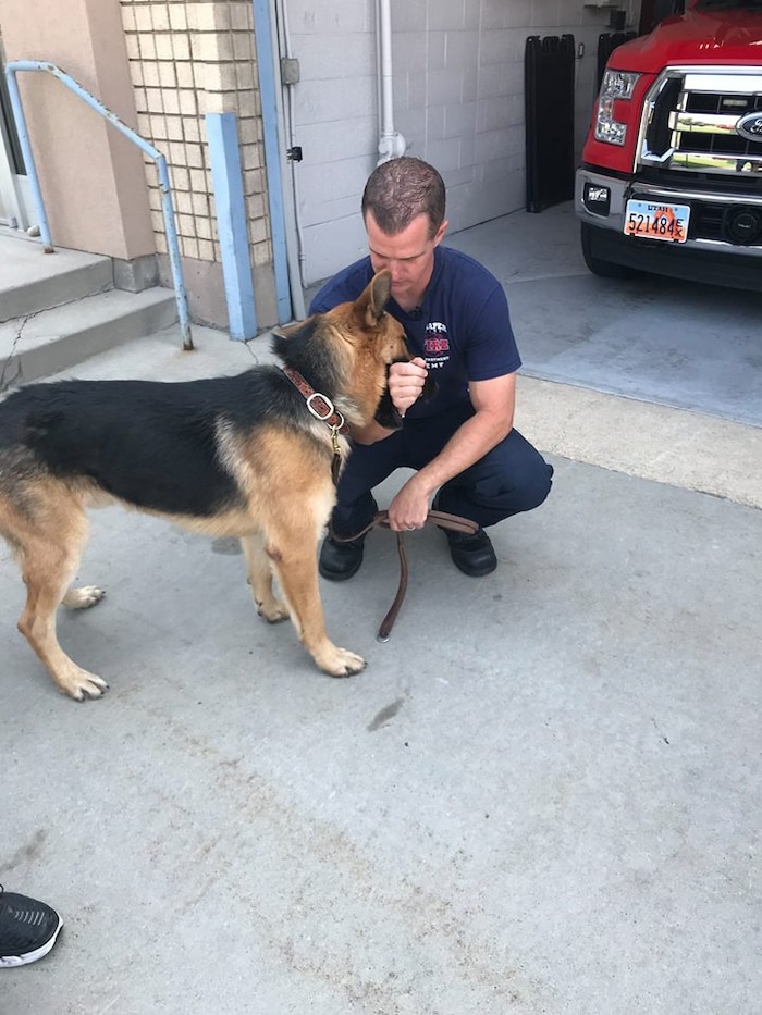 (Photo courtesy of Draper City Fire Department) A Utah firefighter whose department is still reeling from the death of one of their own during California’s largest wildfire is starting a new chapter with a dog he found near the same fire.