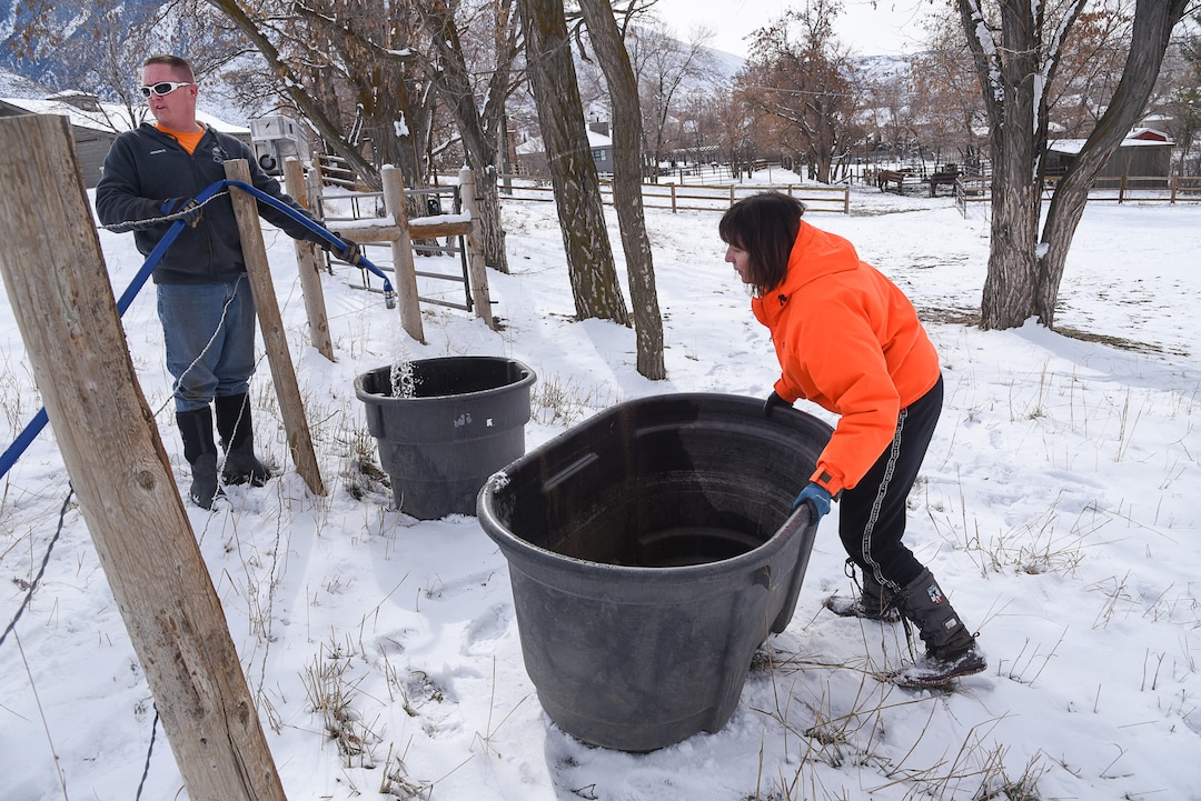 (Francisco Kjolseth  |  The Salt Lake Tribune)  Horse owner Kay Freeman moves a water container on Sunday, Feb. 17, 2019, within reach of a Sandy City truck delivering clean drinking water by Jason Hunt after finding out that her horses could also be affected by high levels of lead and copper in the water since she uses self water feeders connected to city water. The city says the problem started about Feb. 6, when a fluoride pump malfunctioned because of a power outage. It flooded the water system with fluoride and that also led to high levels of lead and copper, enough that it made some people sick.