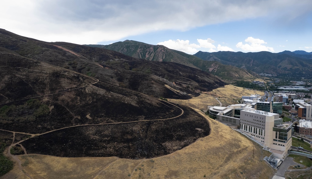 (Francisco Kjolseth | The Salt Lake Tribune) The Bonneville Fire burn scar behind the Huntsman Cancer Center in Salt Lake City on Thursday, June 25, 2026. Utah's capital is banning fireworks citywide this July Fourth in light of an executive order by Gov. Spencer Cox.