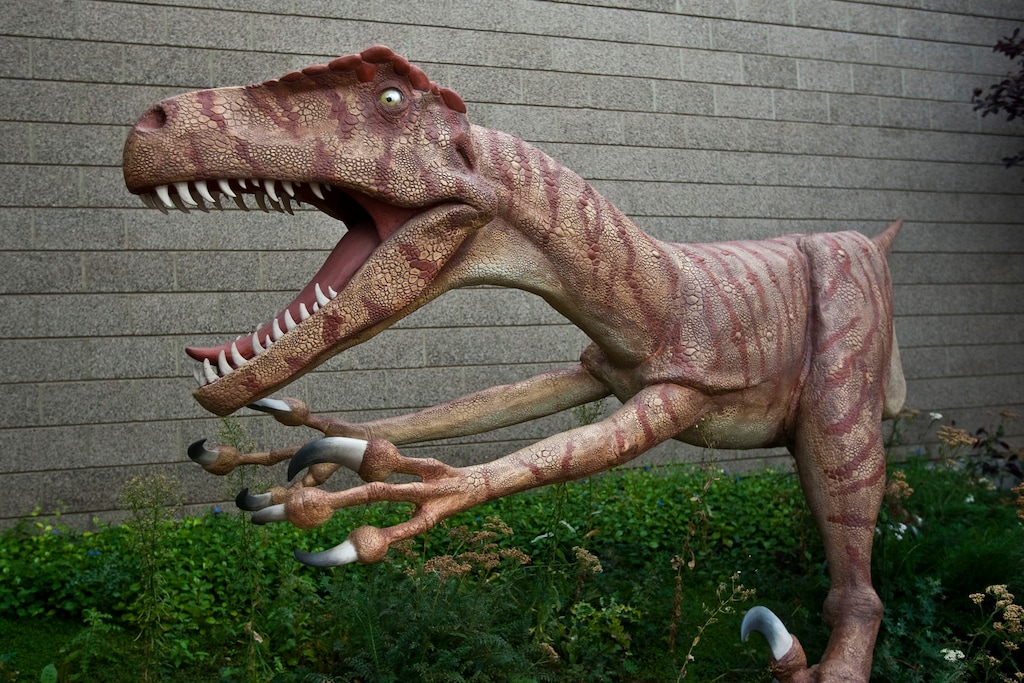 (Chris Detrick  |  Tribune file photo)  Utahraptor in the Dinosaur Garden at the Utah Field House of Natural History State Park Museum.