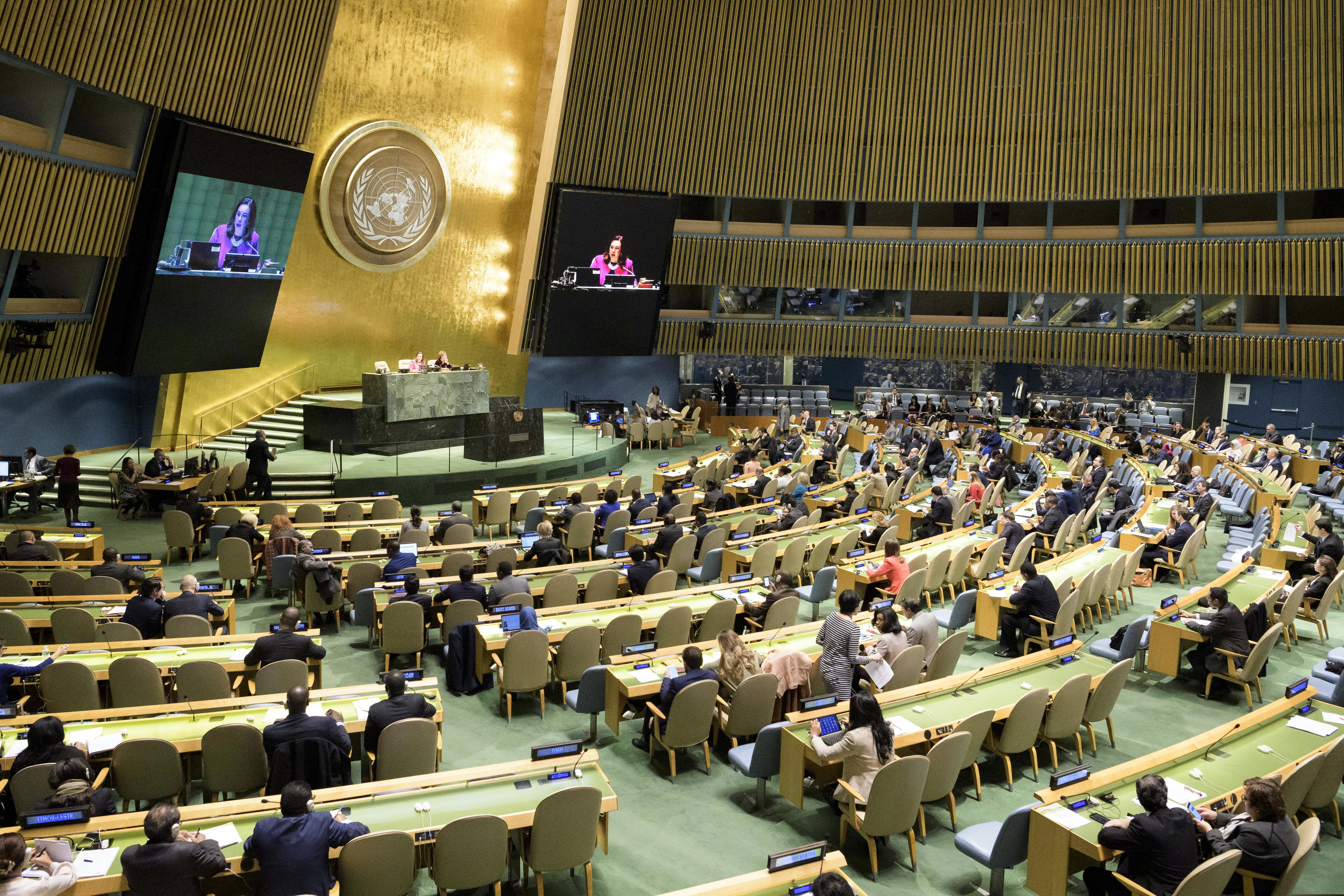 The United Nations General Assembly meets, Thursday, Nov. 1, 2018 at U.N. headquarters.  (Manuel Elias/United Nations via AP)