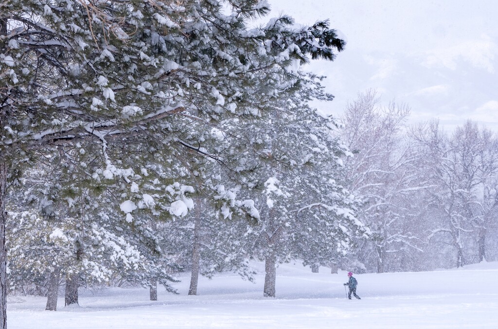 (Rick Egan | The Salt Lake Tribune)  Dorothy Weber enjoys the new snow as she skis at Bonneville Golf Course, on Wednesday, April 5, 2023.
