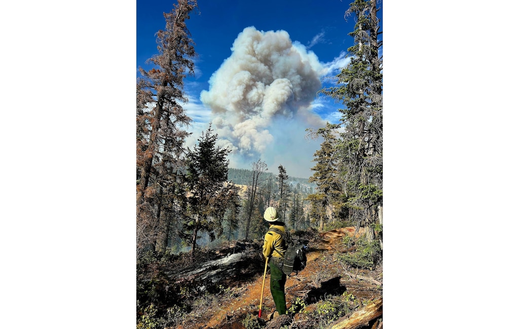 (U.S. Forest Service) A firefighter observes conditions at the France Canyon Fire near Bryce Canyon National Park, Tuesday, June 17, 2025.