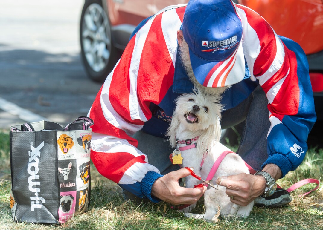 (Rick Egan  |  The Salt Lake Tribune)  Giobanni Anotnio trims Carmela's tail with some scissors after getting a bag of food and treats for his dog from Street Dawg Crew, a group that gives out food, treats, leashes and things for pets of homeless people every week at Liberty Park, Sunday, July 7, 2019.
