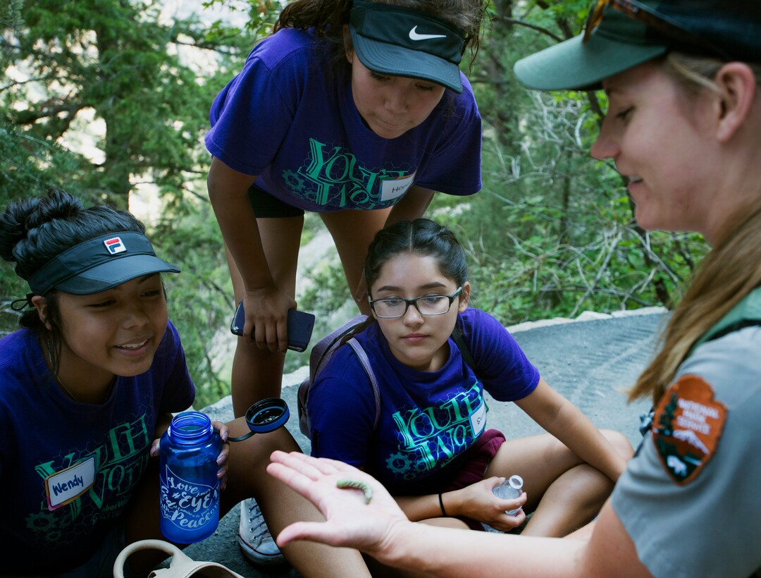 (Rick Egan  |  The Salt Lake Tribune)  Ranger Cassidy Jones, shows YouthWorks participants a caterpillar during a break along the trail, on the way to Timpanogos Cave, Thursday, Aug. 3, 2017.